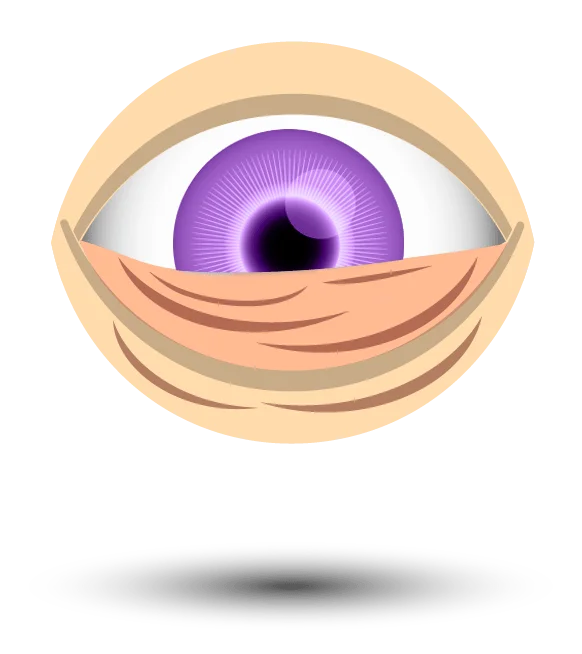 Referer White Transparent, Animation Purple Eyes Reference